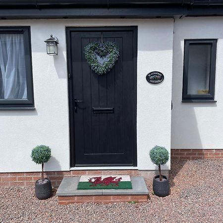 Blackberry Cottage Кардифф Экстерьер фото
